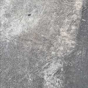 Meet your Posher, Shaylan